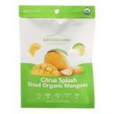 Citrus Splash Dried Organic Mangoes